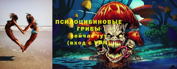 МДПВ Абинск