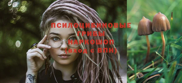МДПВ Абинск