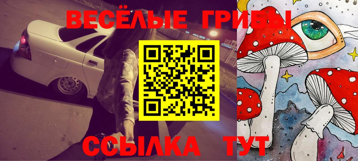 Псилоцибиновые грибы мицелий Сургут